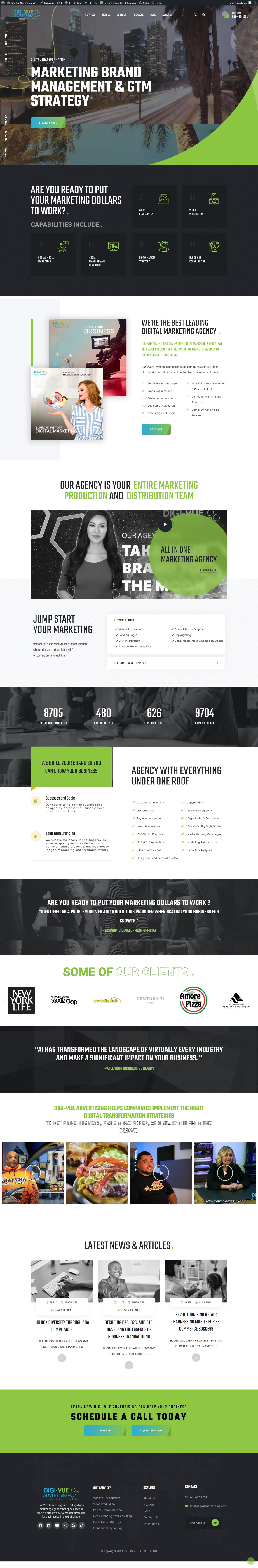 New DigiVue Digital Advertising Website project showcase