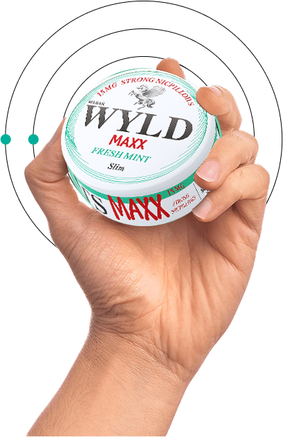 WYLD graphic asset 16