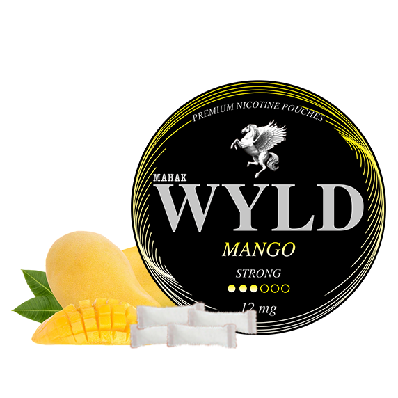 WYLD graphic asset 5