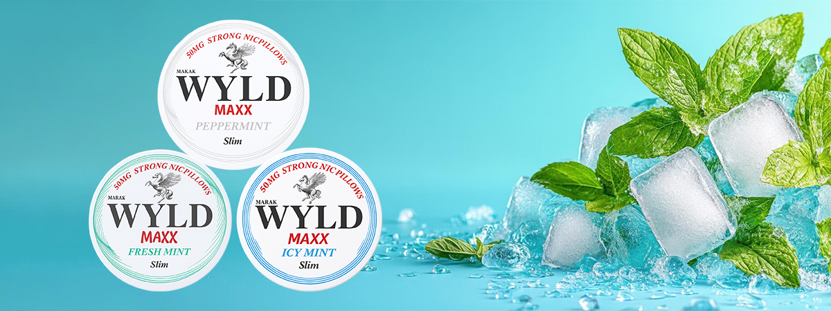 WYLD graphic asset 10