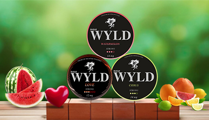 WYLD graphic asset 22