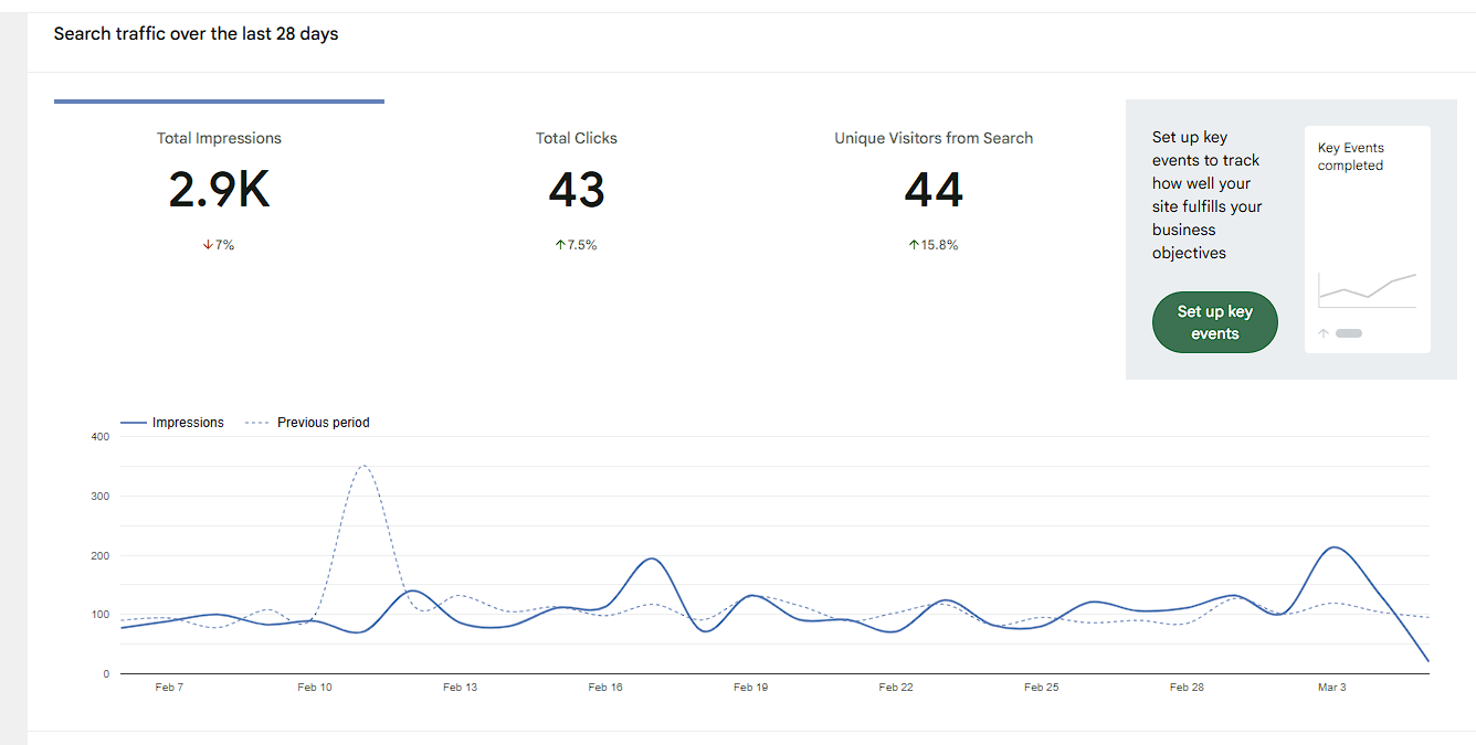 BeautyBree.co.nz SEO dashboard view