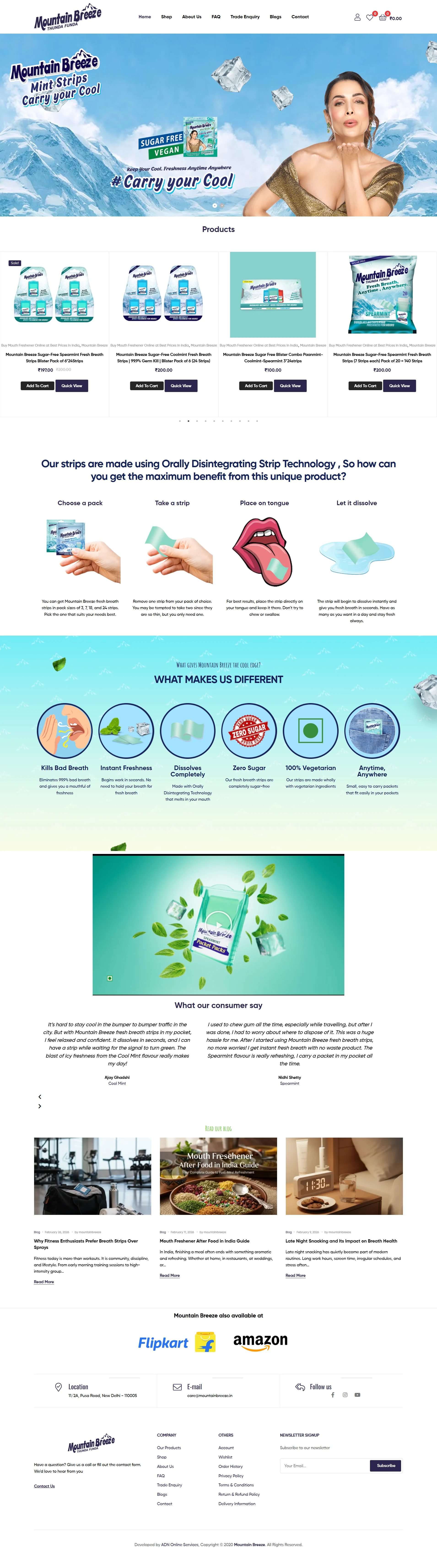 MountainBreeze.in organic search